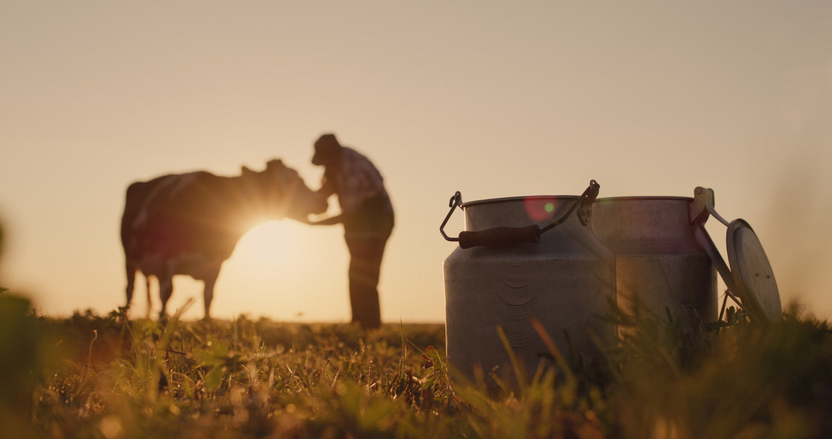 Was ist besser: Bio- oder Weidemilch?