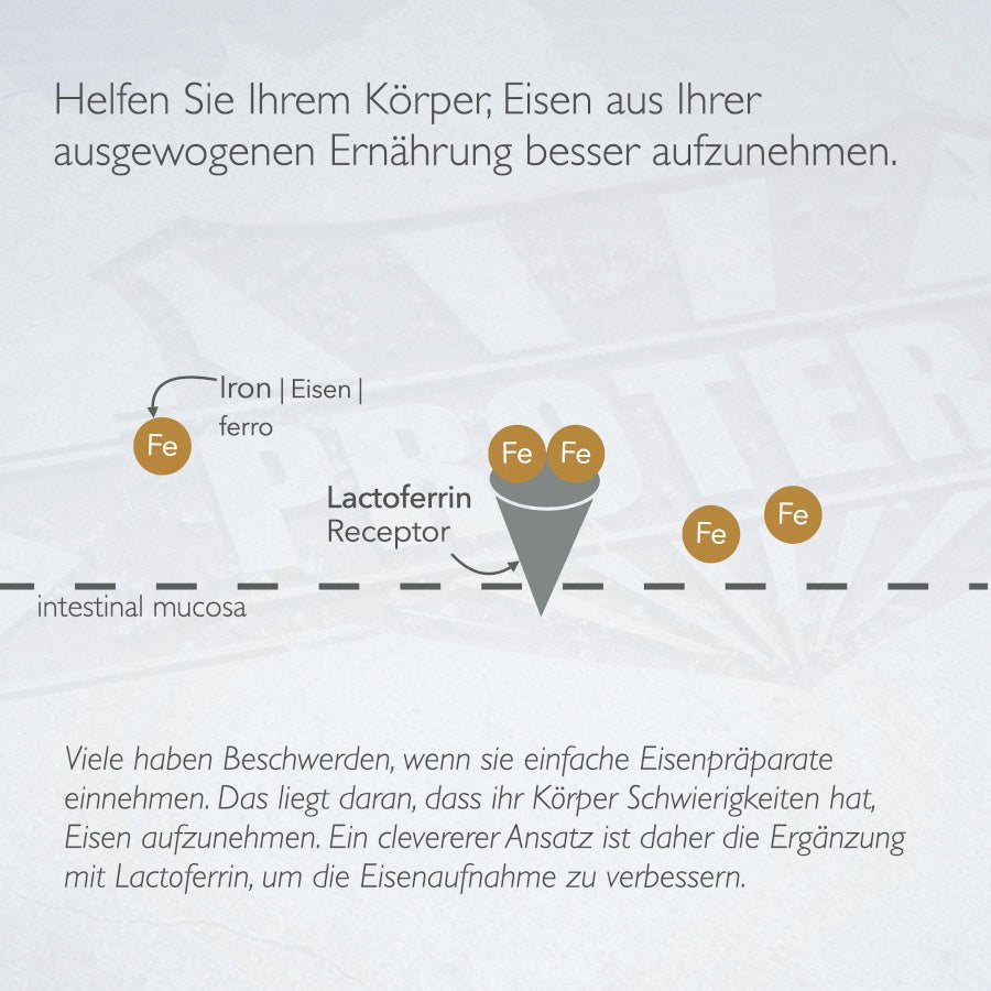 Pure lactoferrin from pasture milk